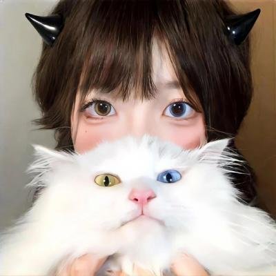 二手狮王
